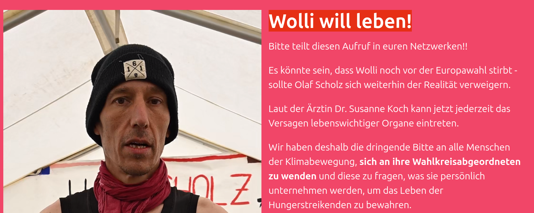 You are currently viewing Unterstützungsaktion von EduClimate: Wolli will leben